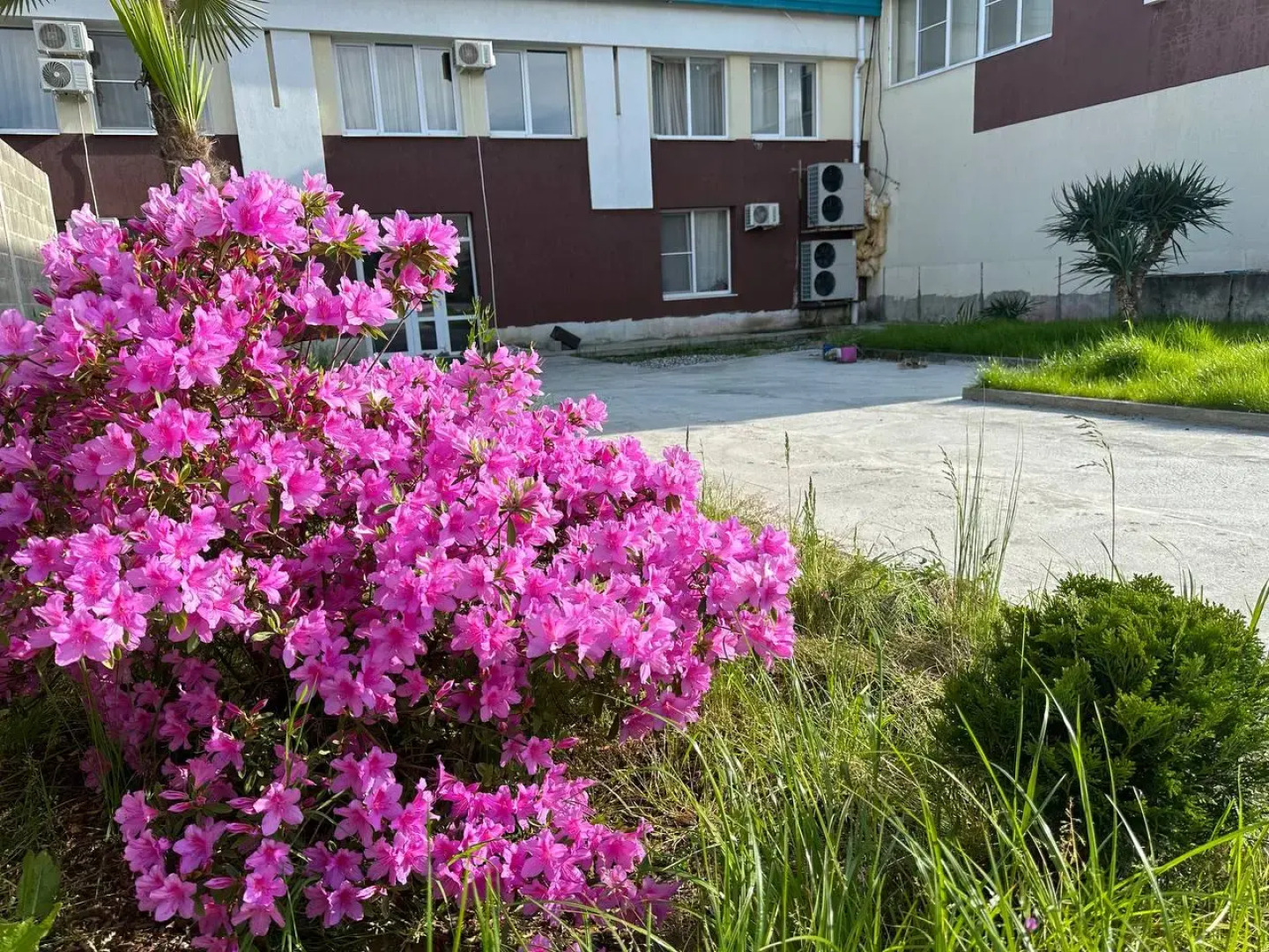 Мини-отель Agudzera Loft SPA