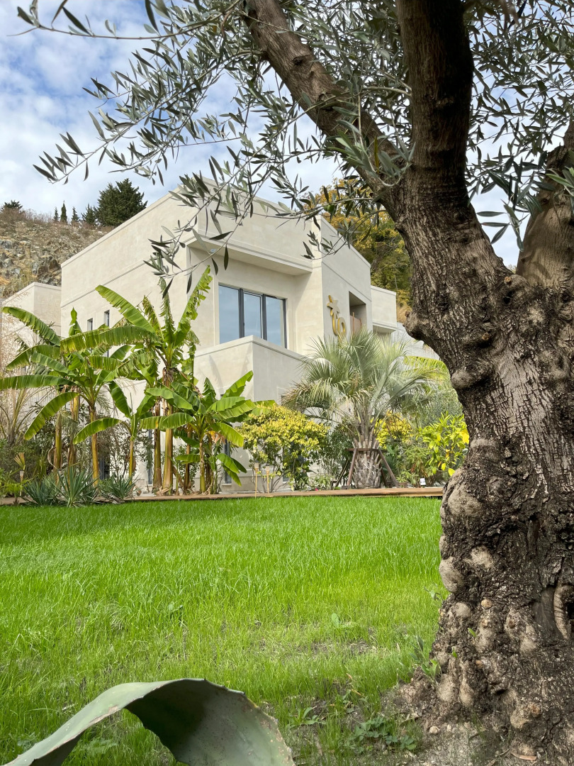 Отель Little Palm