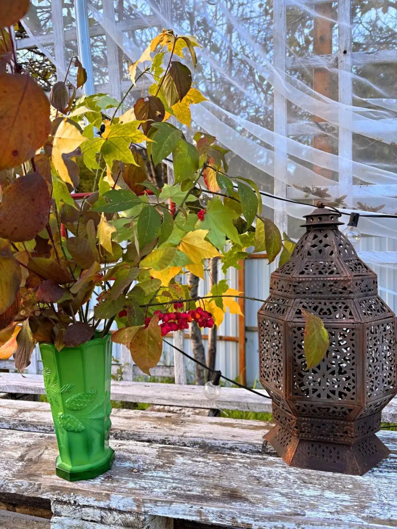 Коттедж Под звездами Стандарт