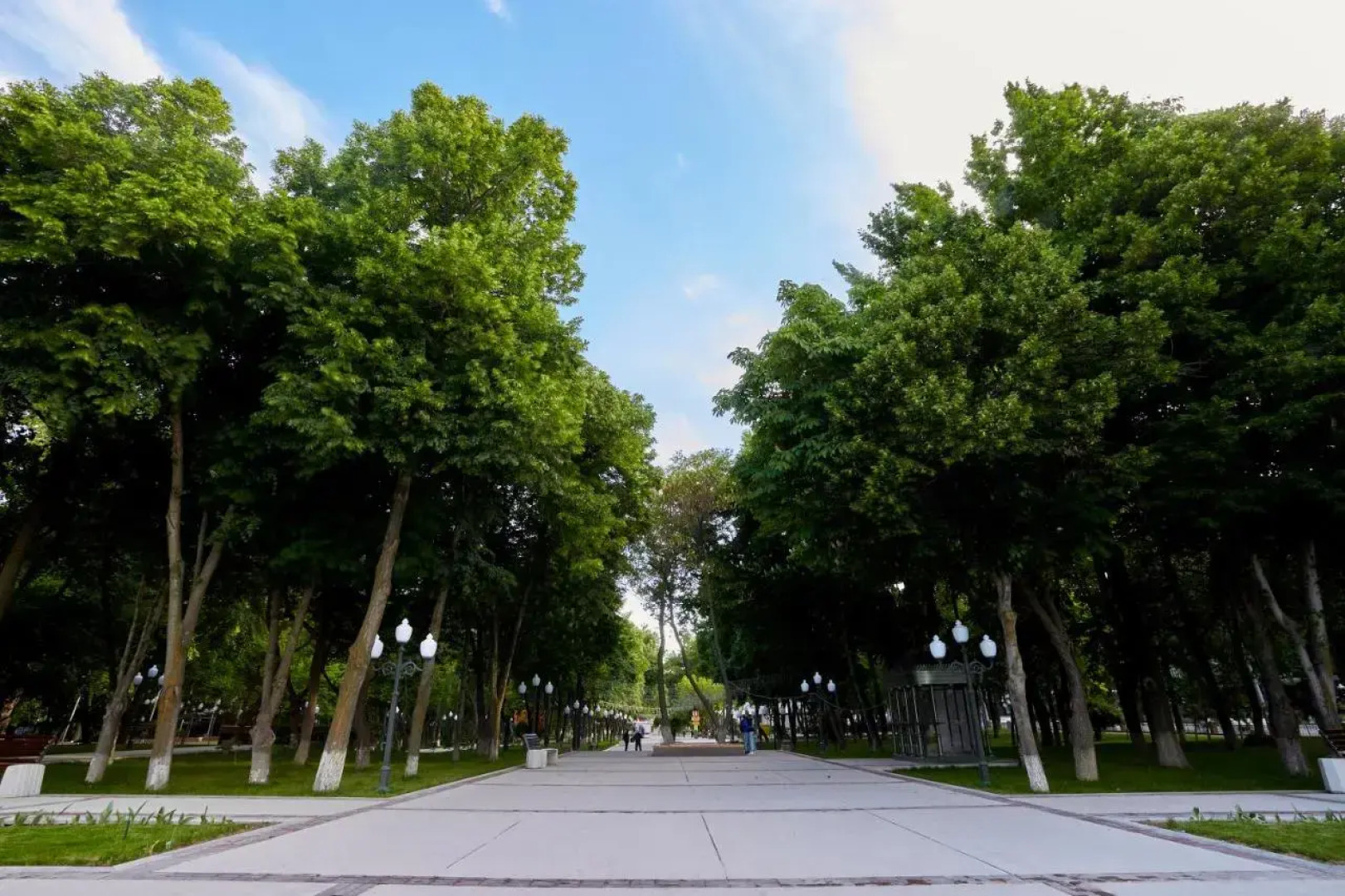 Отель Central Palace Hotel