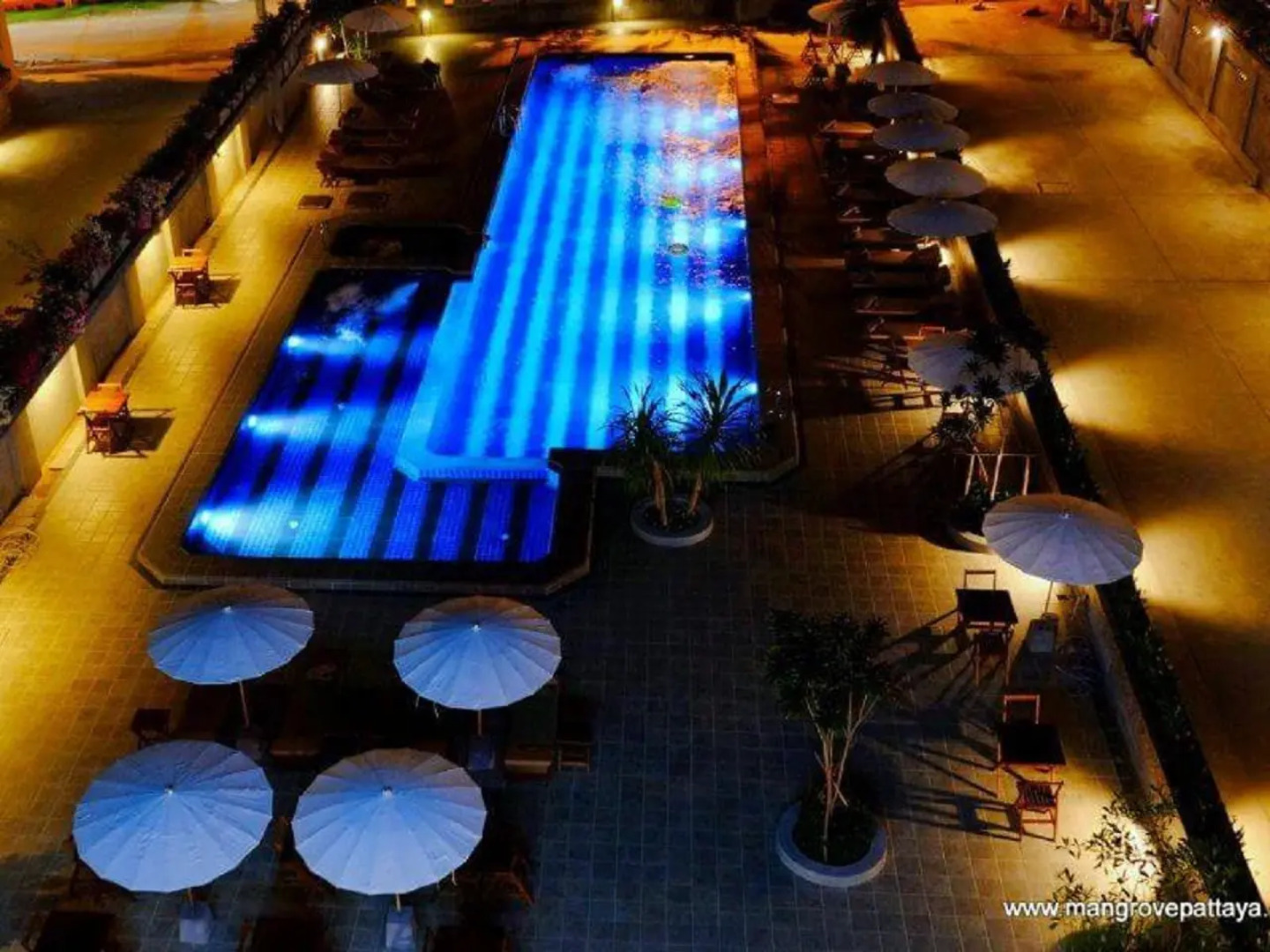 Отель The Mangrove