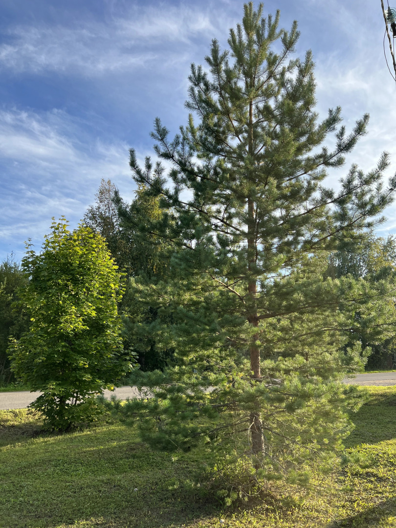 Гостевой дом Русский с баней у озера