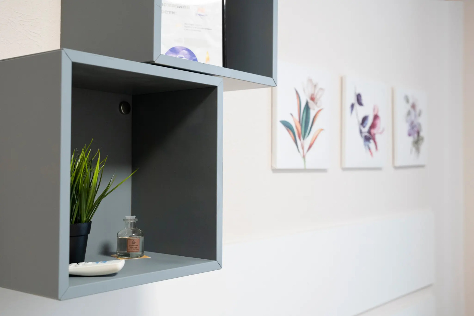 Апартаменты рядом с хвойной рощей