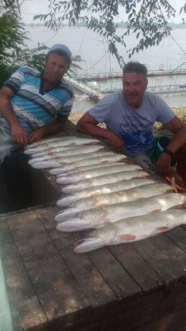 База Отдыха Найт Флайт