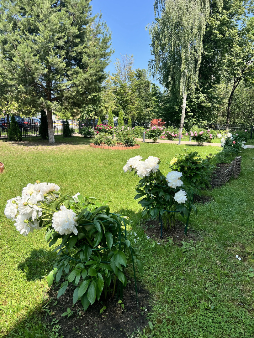 Гостевой дом Мон Плезир Химки