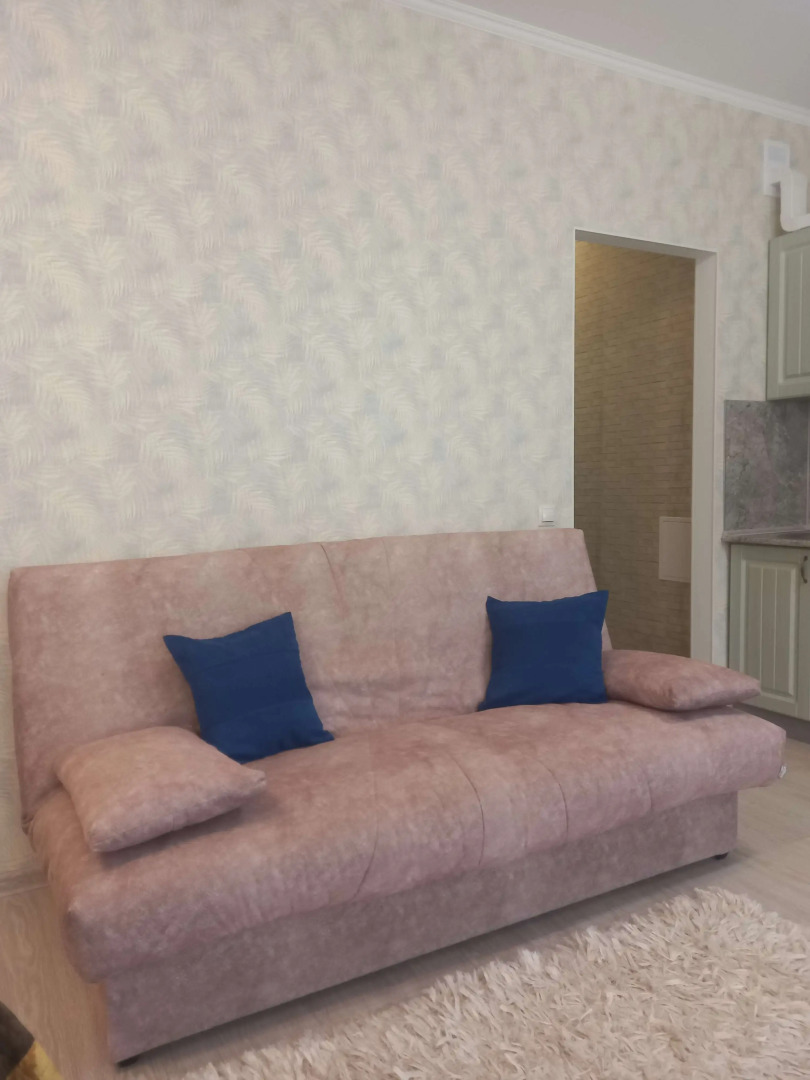 Квартира на Таврической улице 9/5 (16)