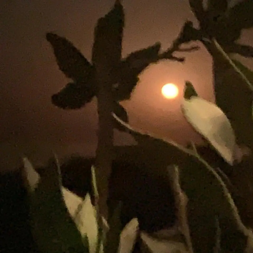 Апартаменты Coral Paradise Villa