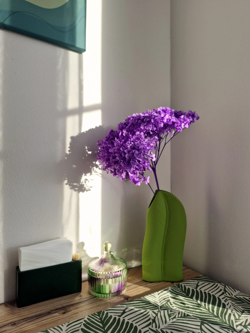 Квартира Ботаника