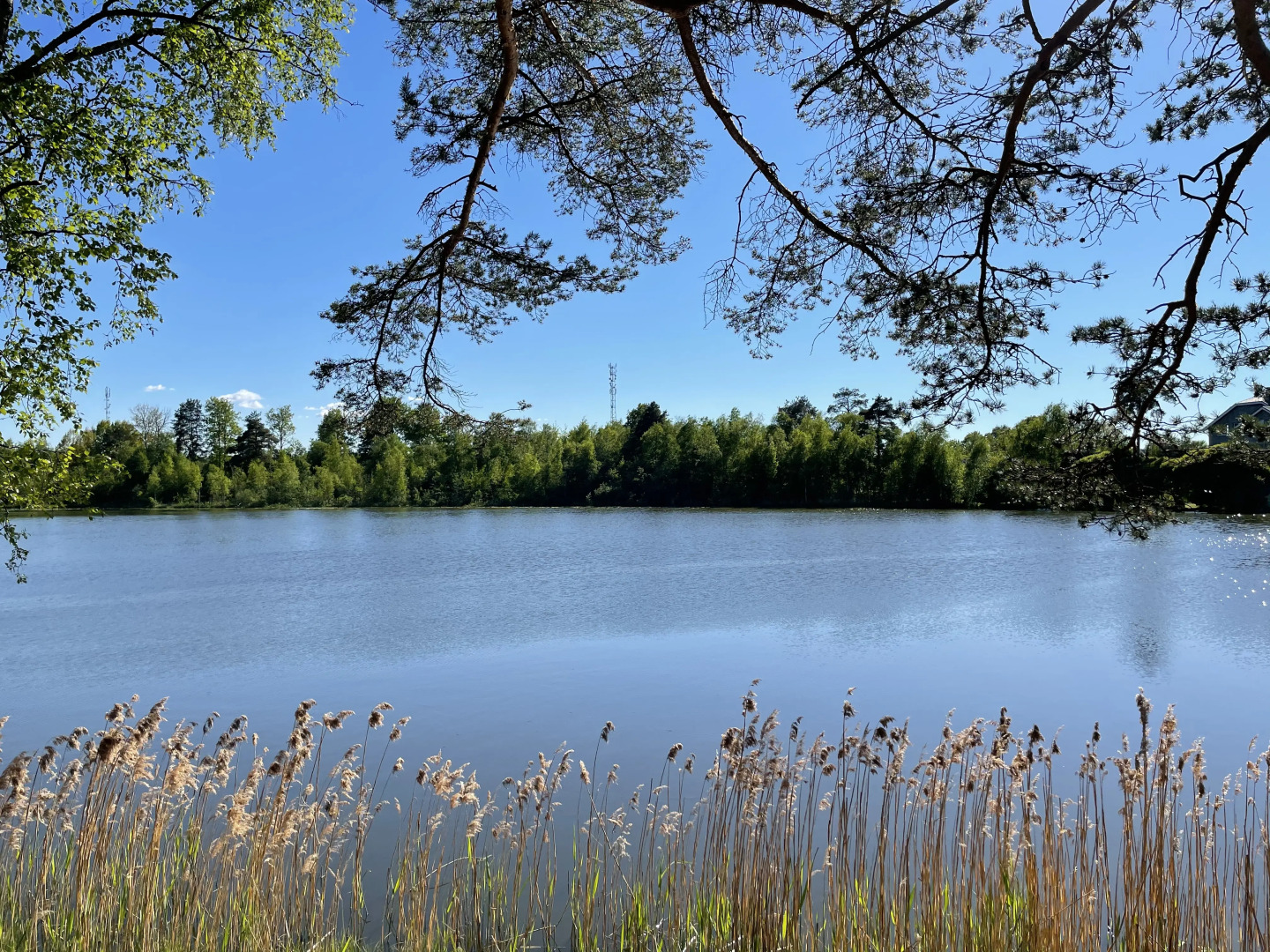 Дом Соловьевка Villa