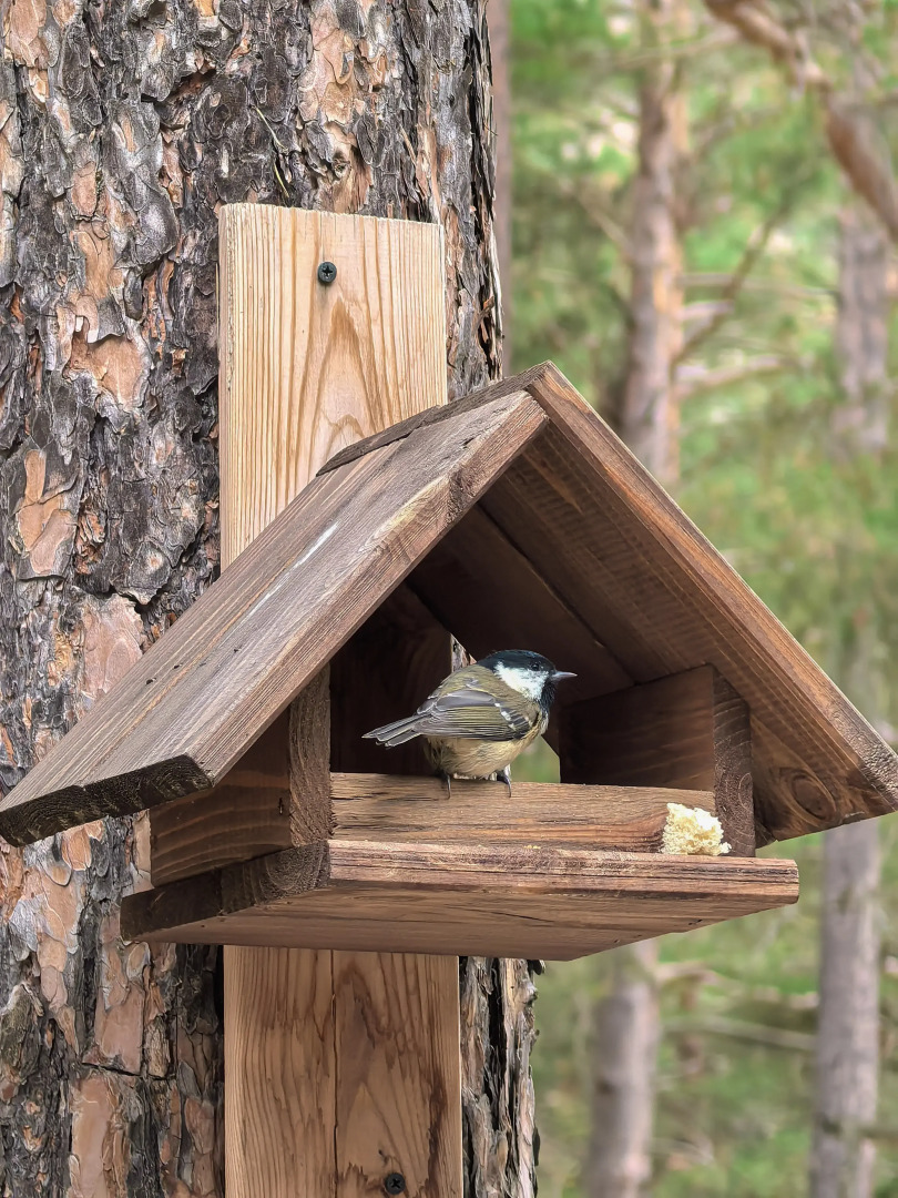 Шале Треугольный дом на огороженной территории