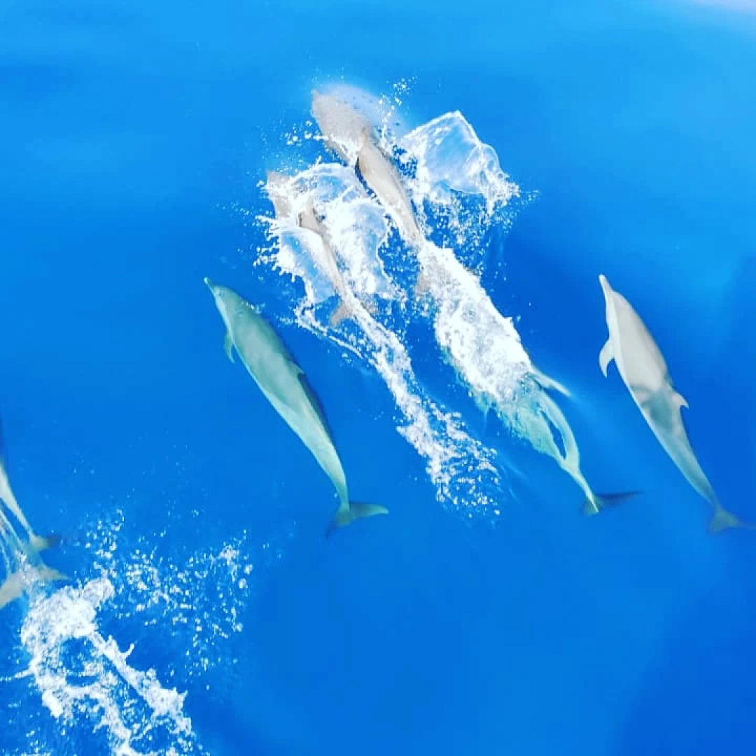 Вилла Moodhu Inn