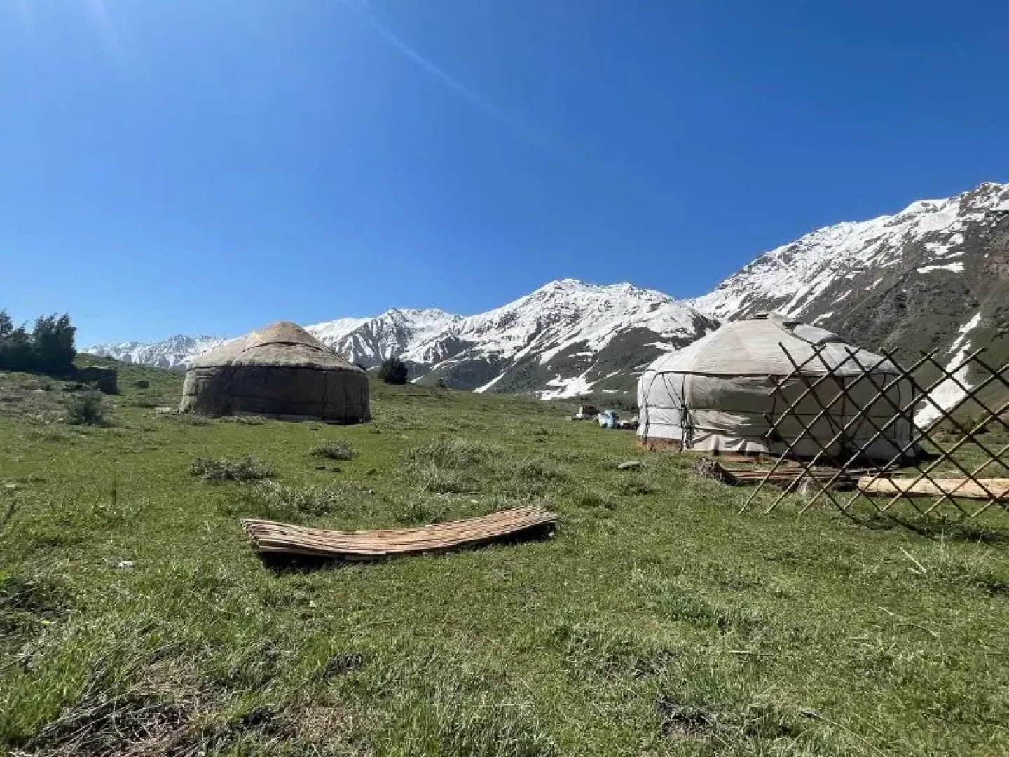 Хостел Yurt camp GREEN CAMP