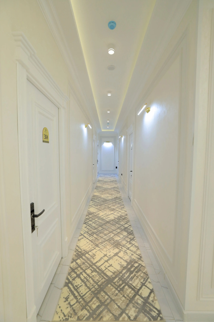 Отель AMIR PLAZA