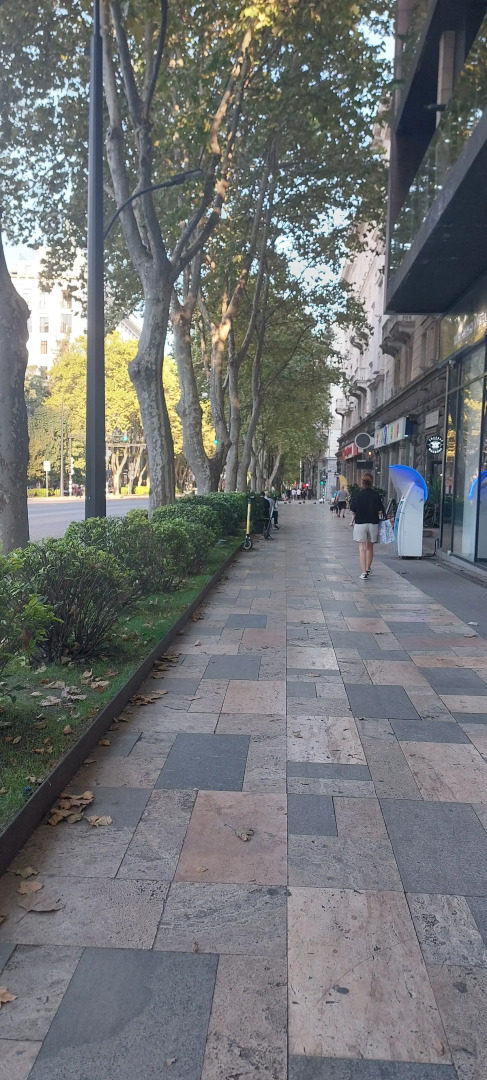 Апартаменты Kiwi