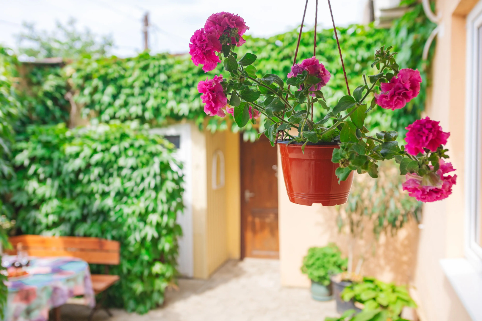 Гостевой Дом Черномор