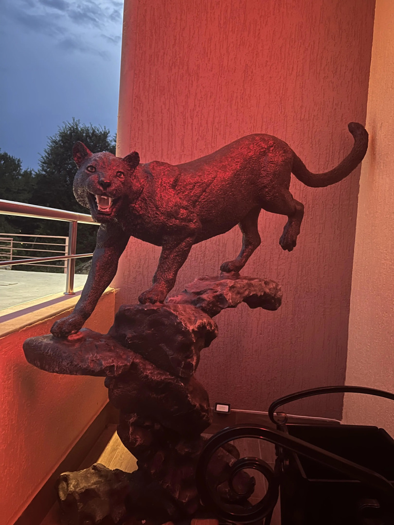 Гостевой Дом Багира