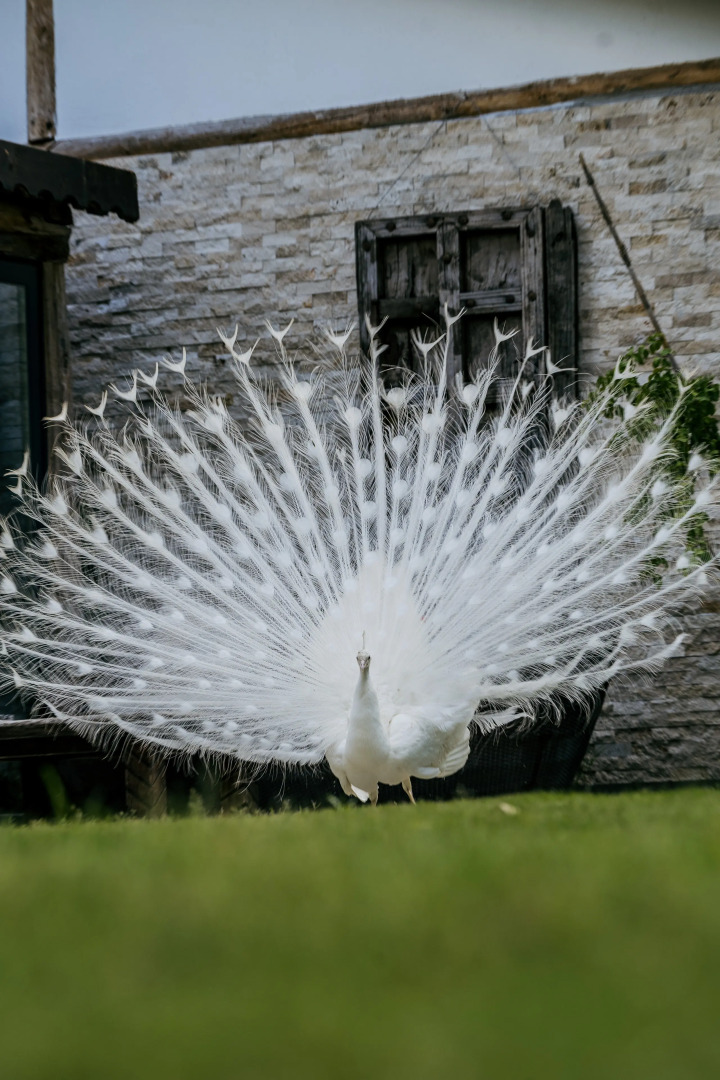 Отель Layla Gocek - Adults Only