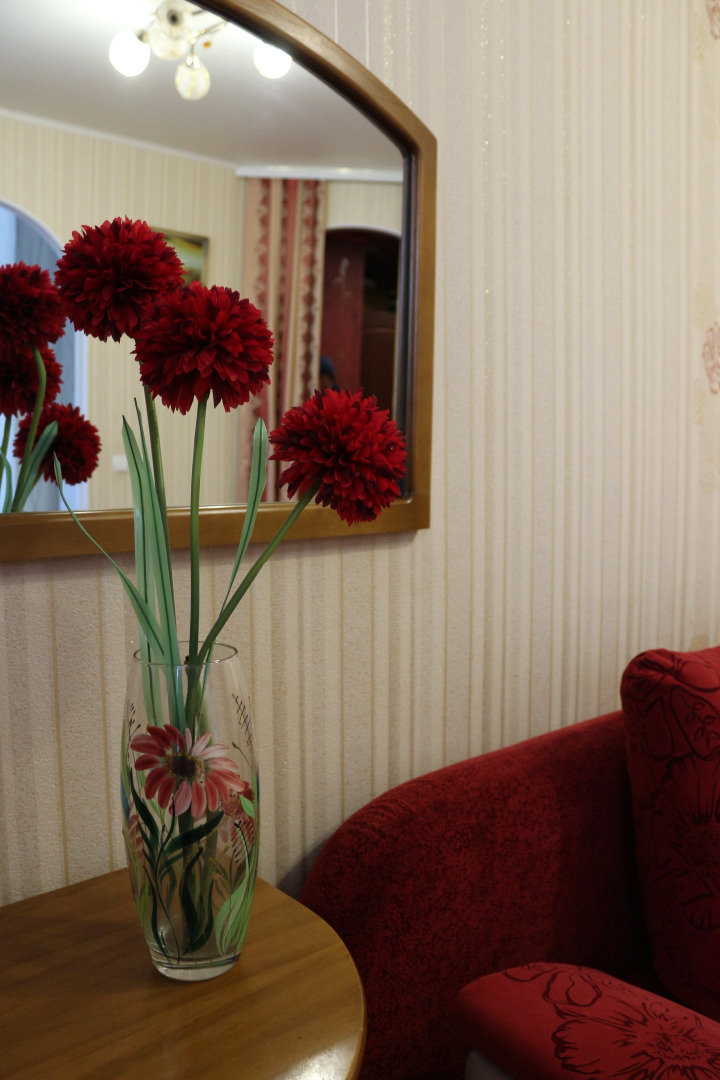 Апартаменты на улице Герцена 26 (13)