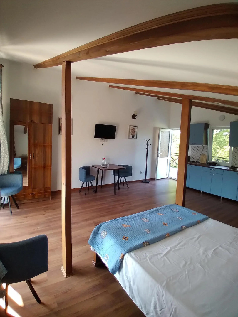 Апартаменты Гостевые апартаменты 1