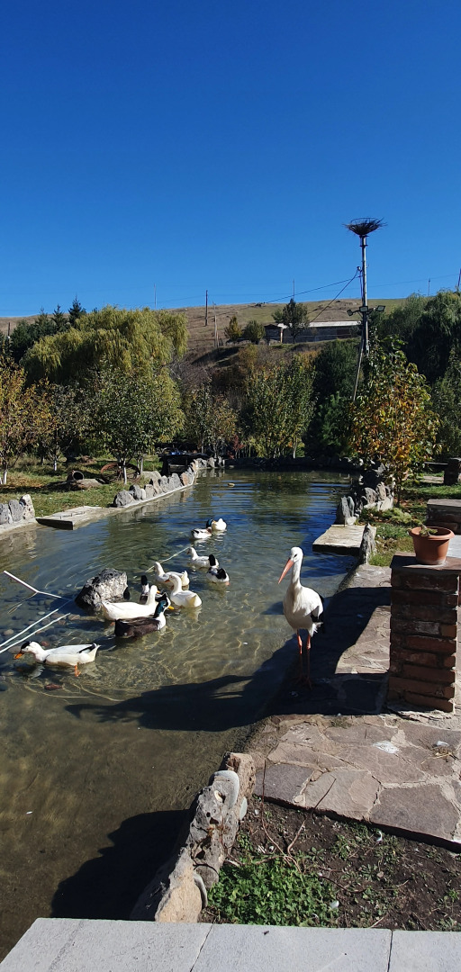 Отель Riverside Inn