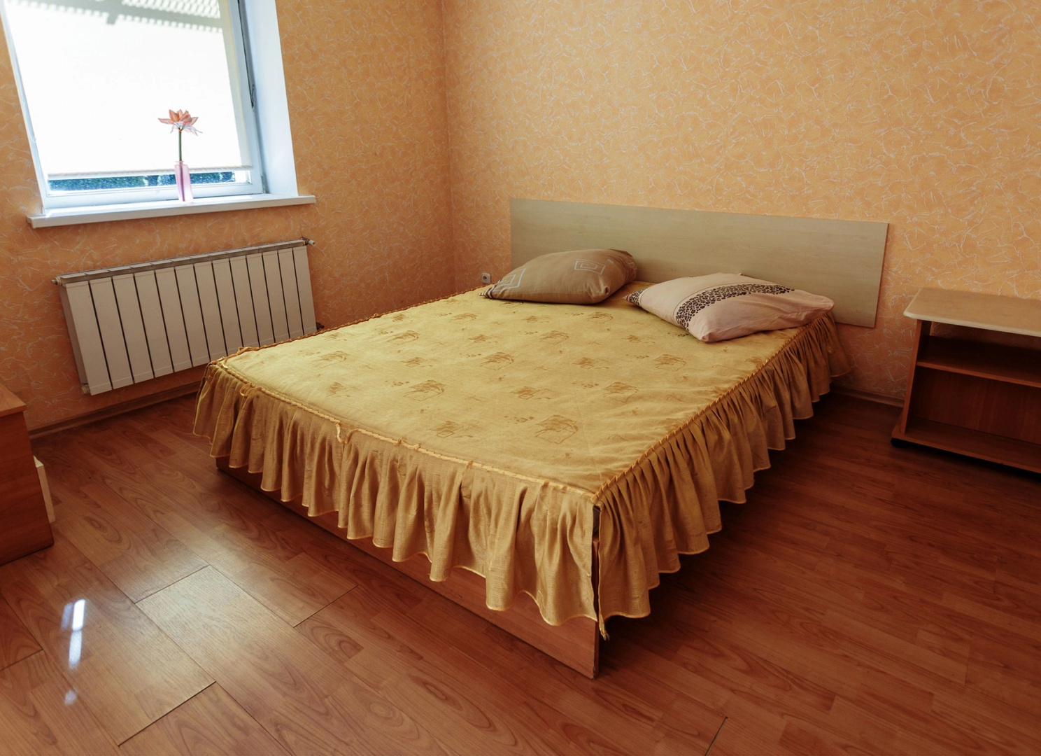 Отель Пригодичи
