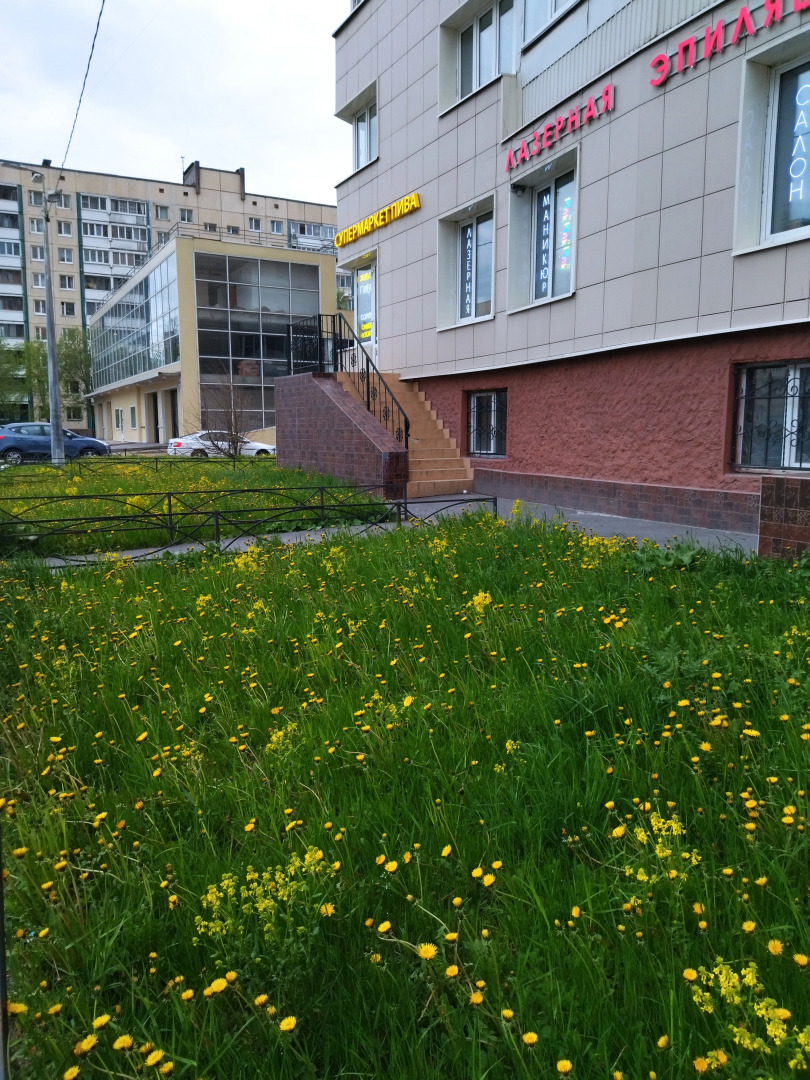 Апартаменты на проспекте Косыгина 17