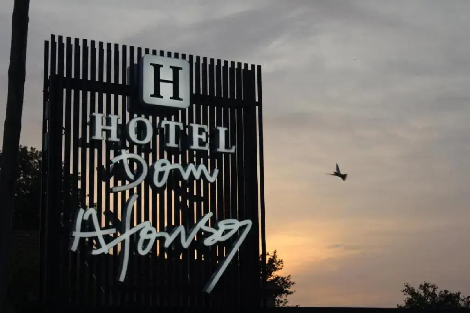 Отель Dom Afonso