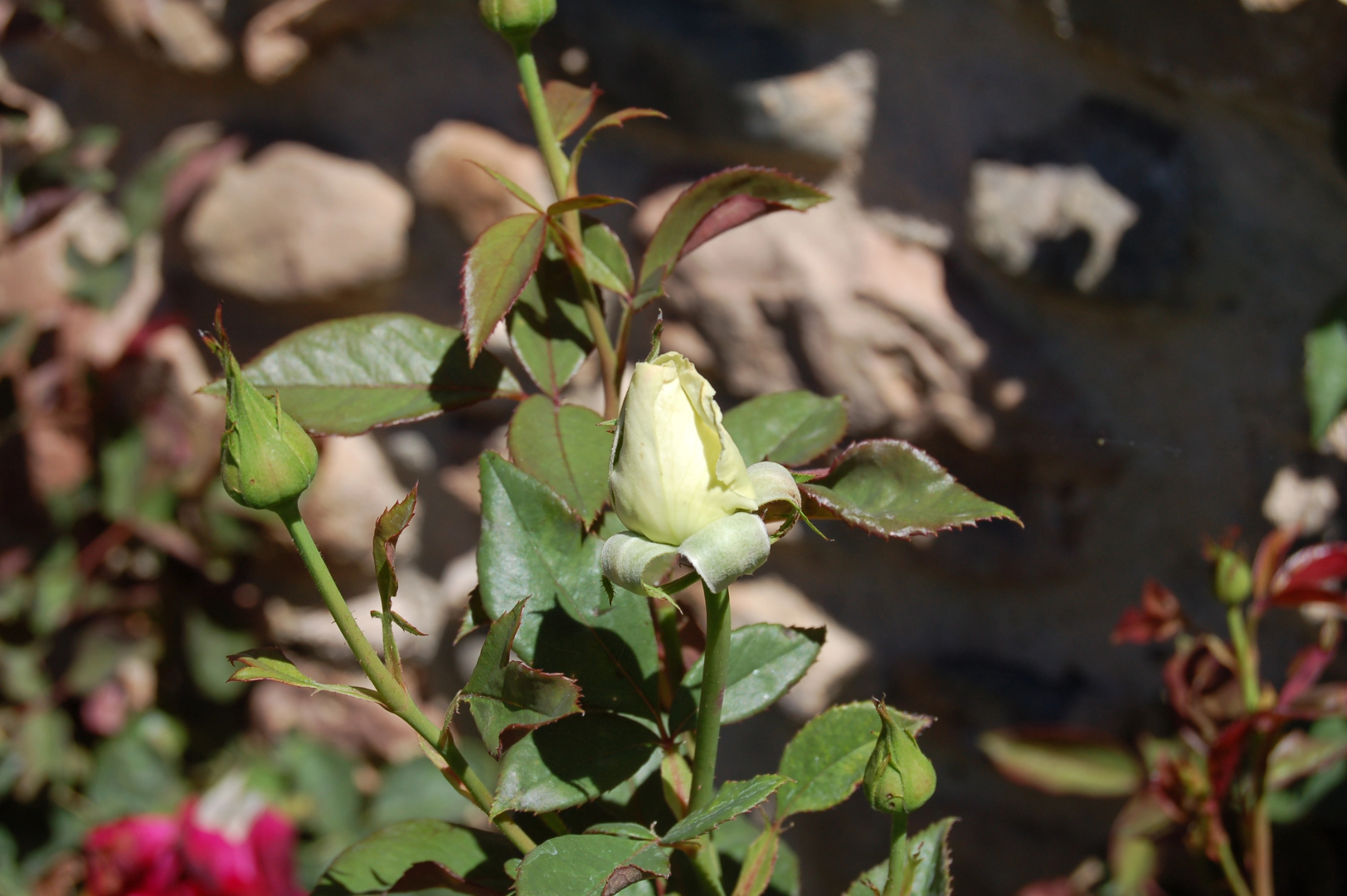 Апарт-Отель Rincón de Piedra BCN