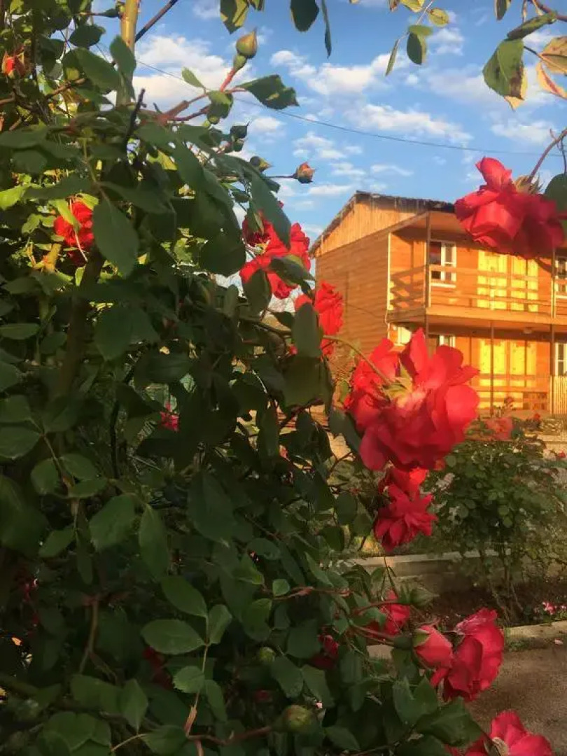 Мини-Отель Сияние Солнца