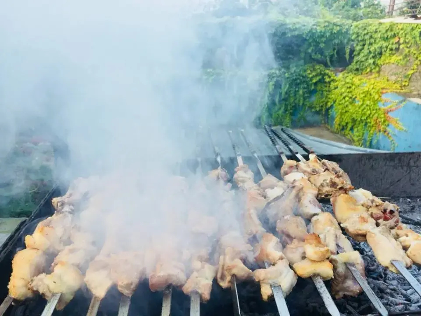 Гостевой Дом Green House Telavi
