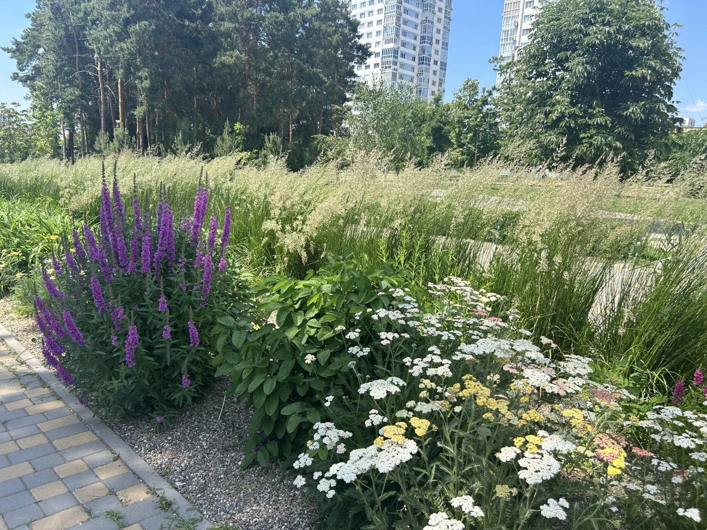 Квартира Мамаев Курган