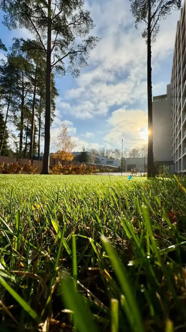 Апартаменты студия у моря 426