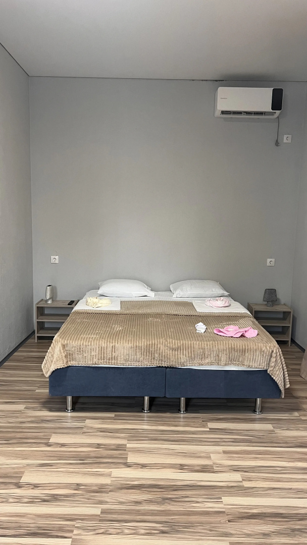 Частный Дом GuestHouse Artin