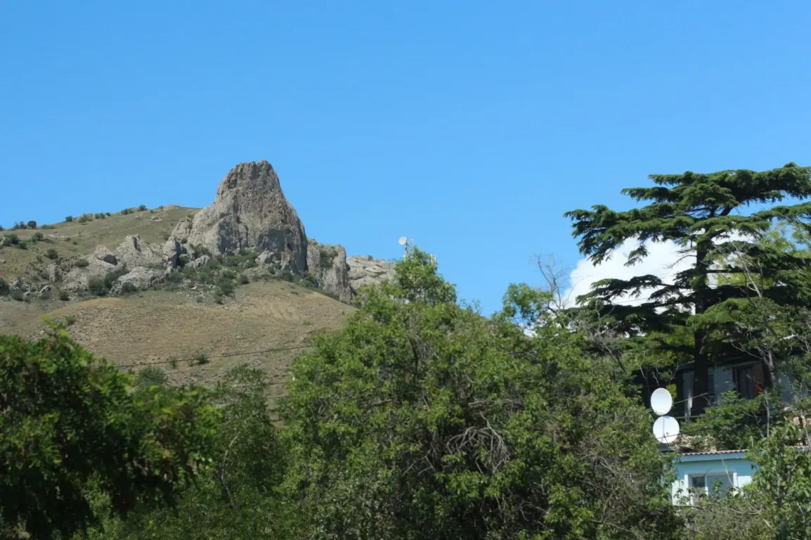 Апартаменты Авокадо 5