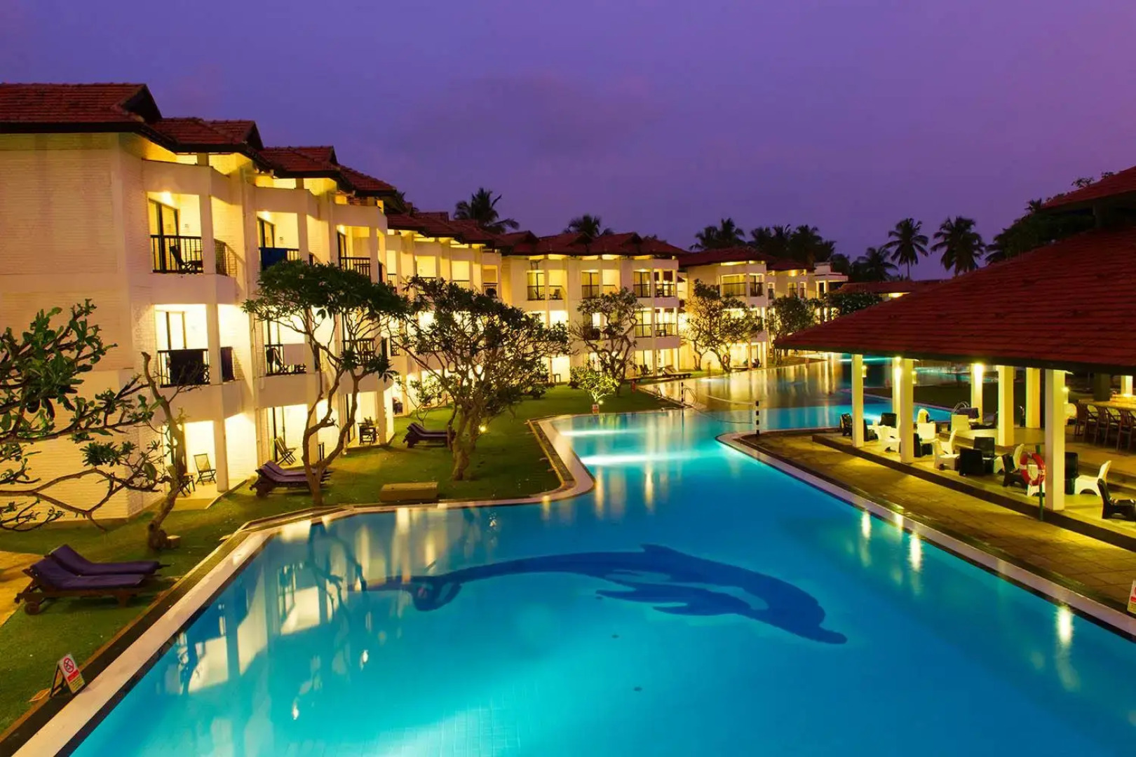 Отель Club Hotel Dolphin