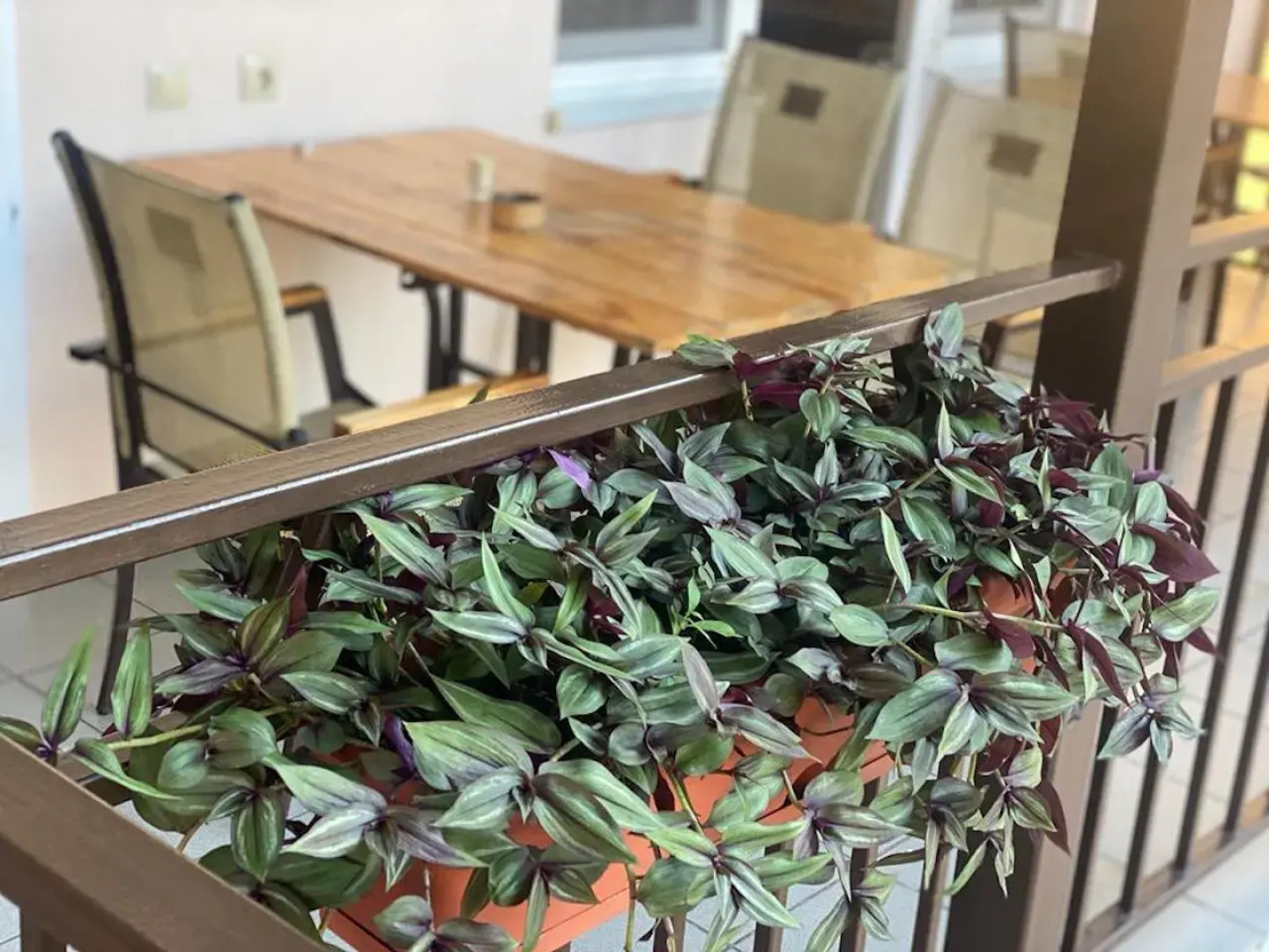 Жилые помещения Золотой песок