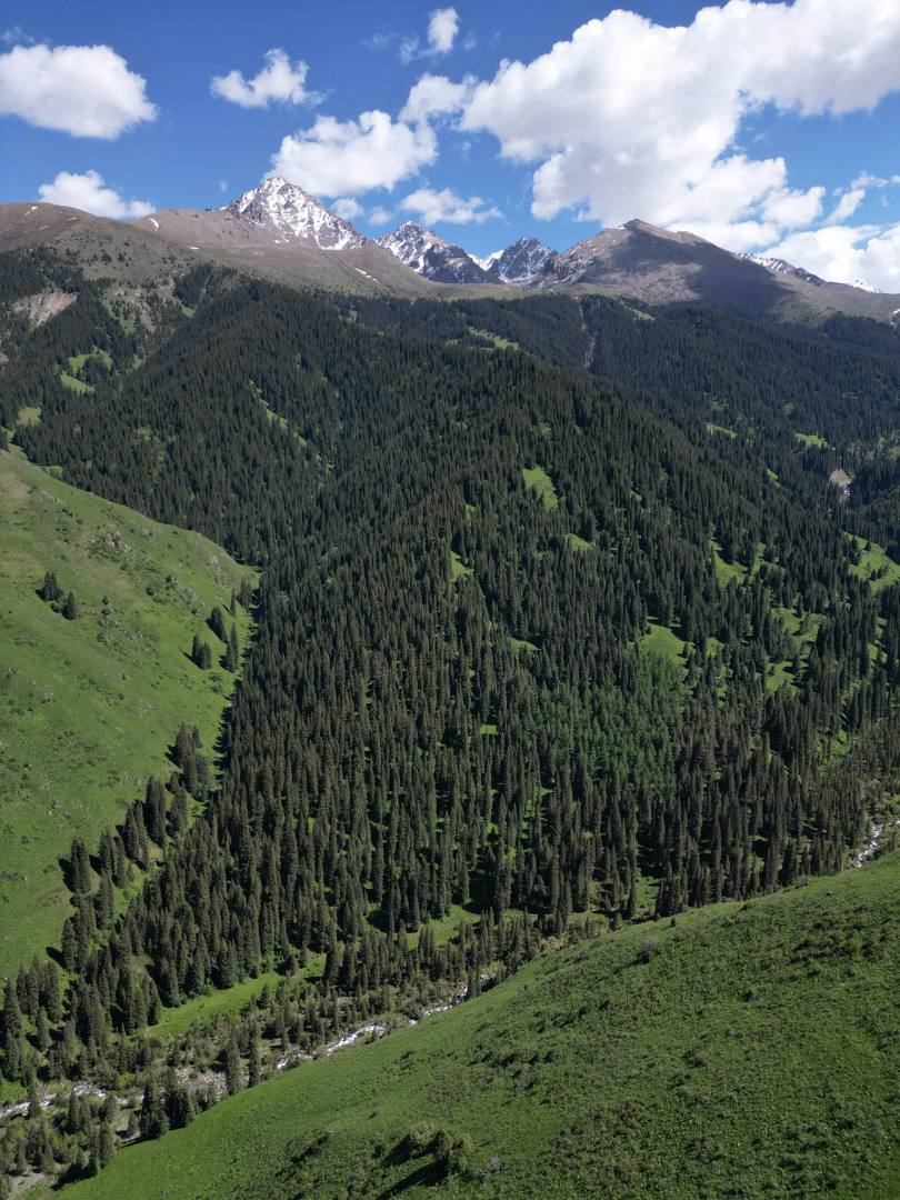 Отель Алакуш Этно-комплекс
