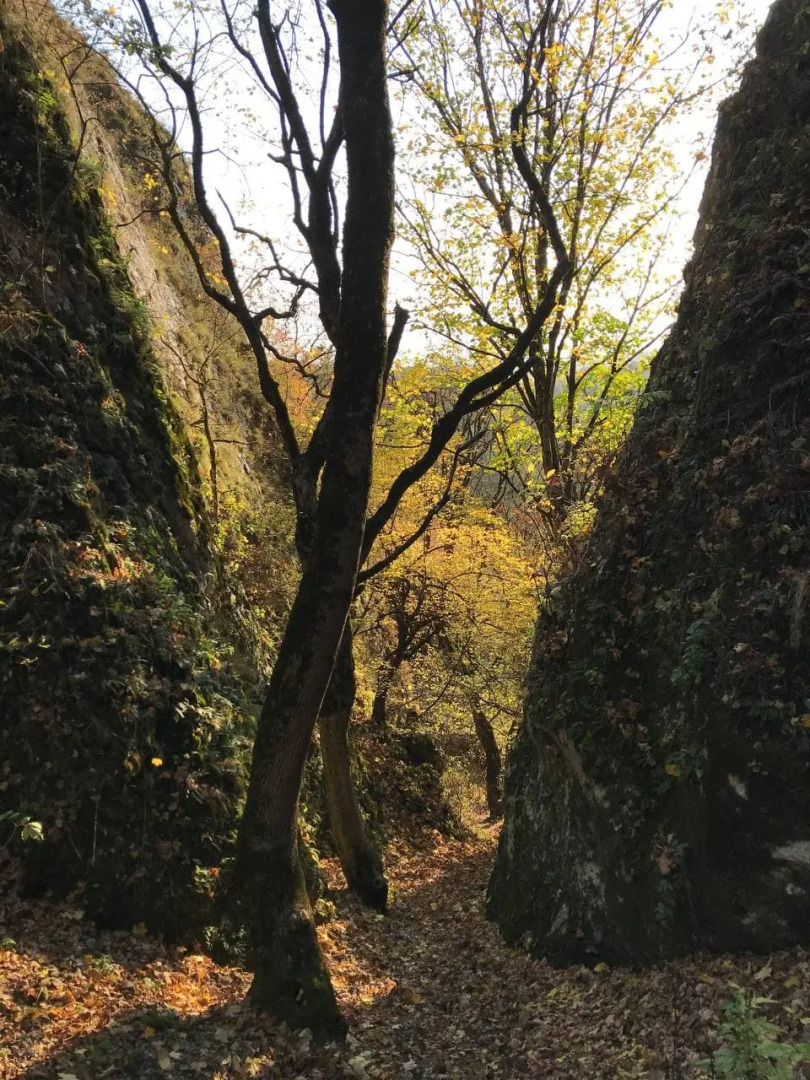 База Отдыха Телец