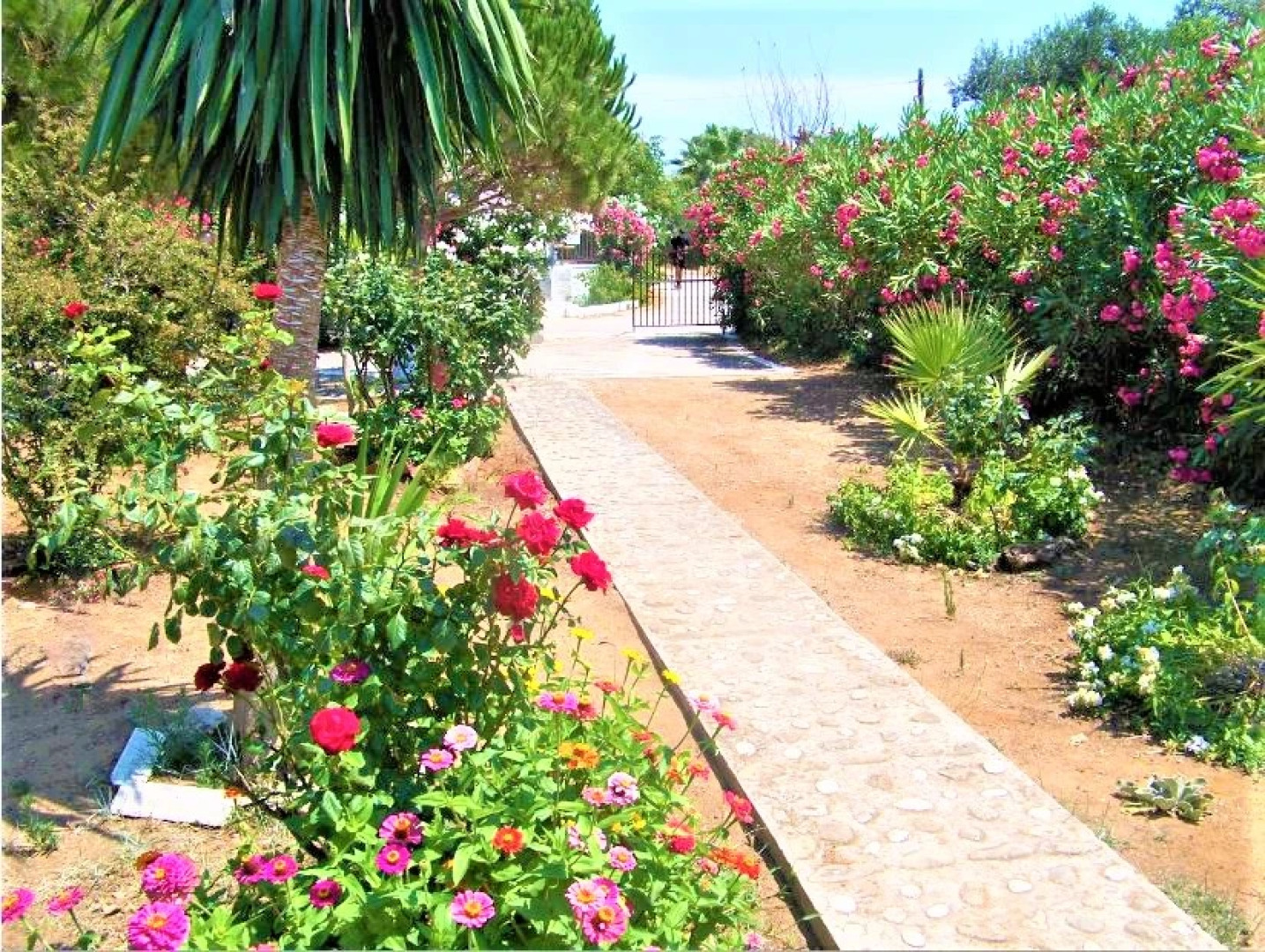 Вилла Tatiana Corfu