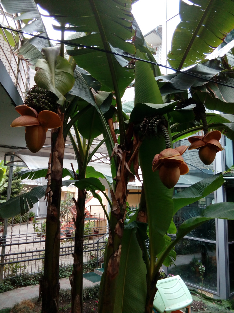 Гостевой Дом Иван да Марья