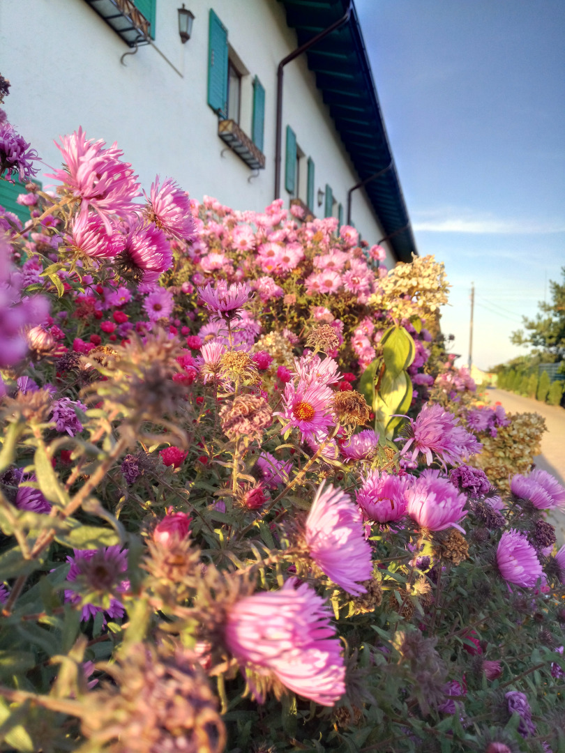 Отель Муравский Тракт