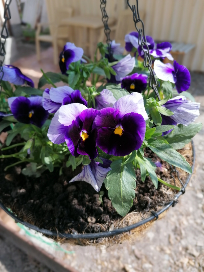 Гостевой дом У Юли