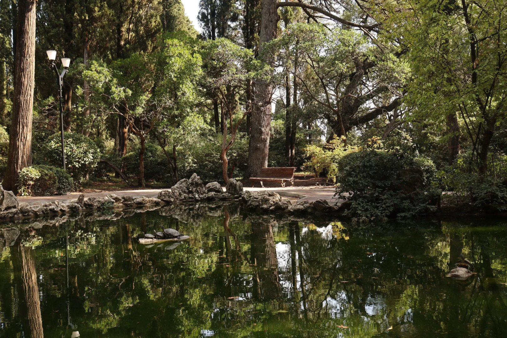 Апартаменты у Массандровского парка