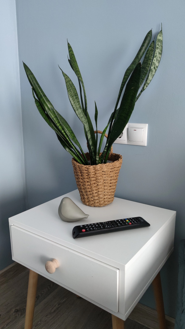 Апартаменты Горы да река 1