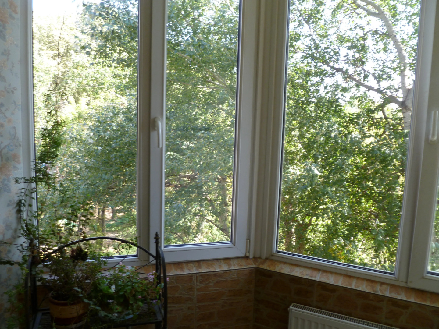 Апартаменты Андромеда