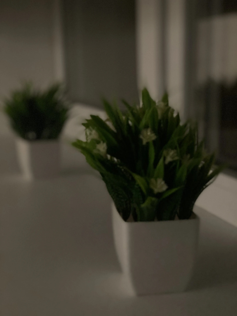 Квартира на Елецком