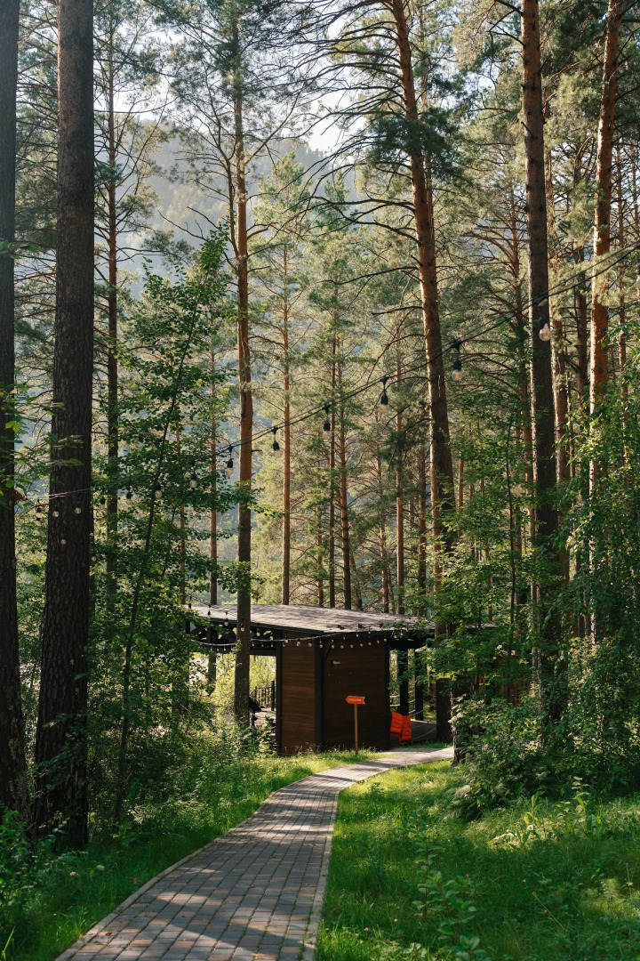 Отель Сказка Алтая