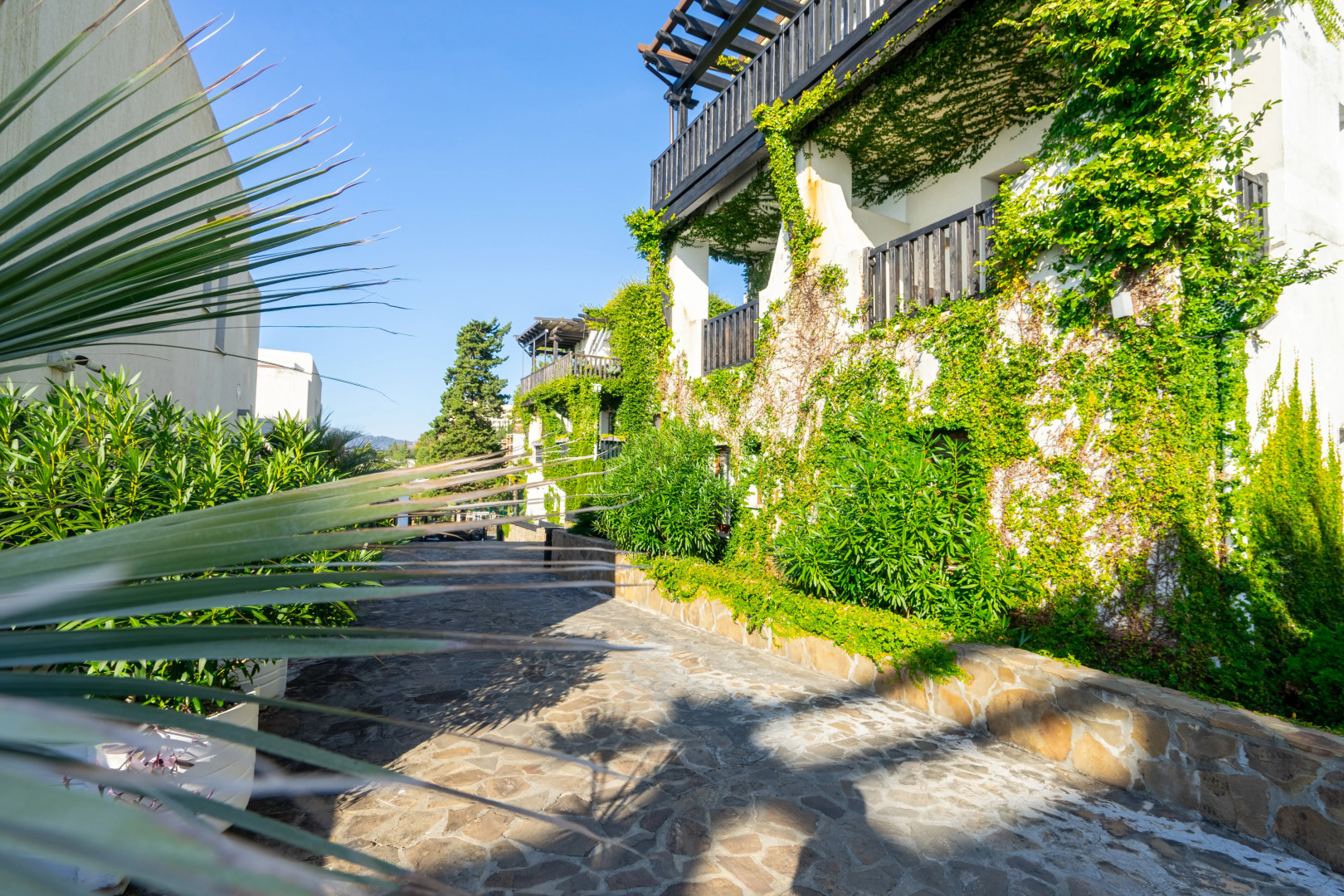 Апартаменты Санторини