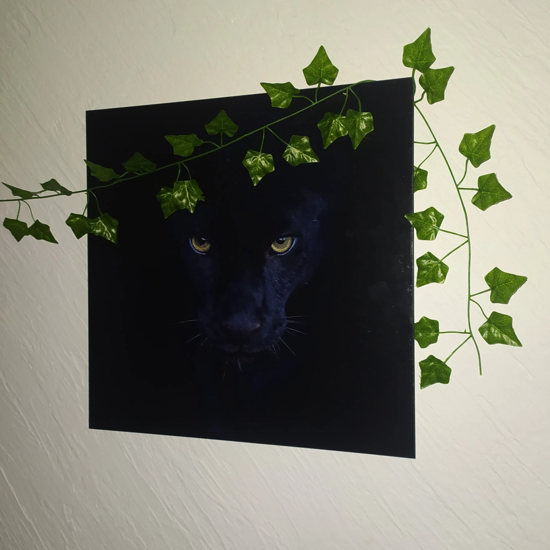 Апартаменты  "День & Ночь" Джунгли