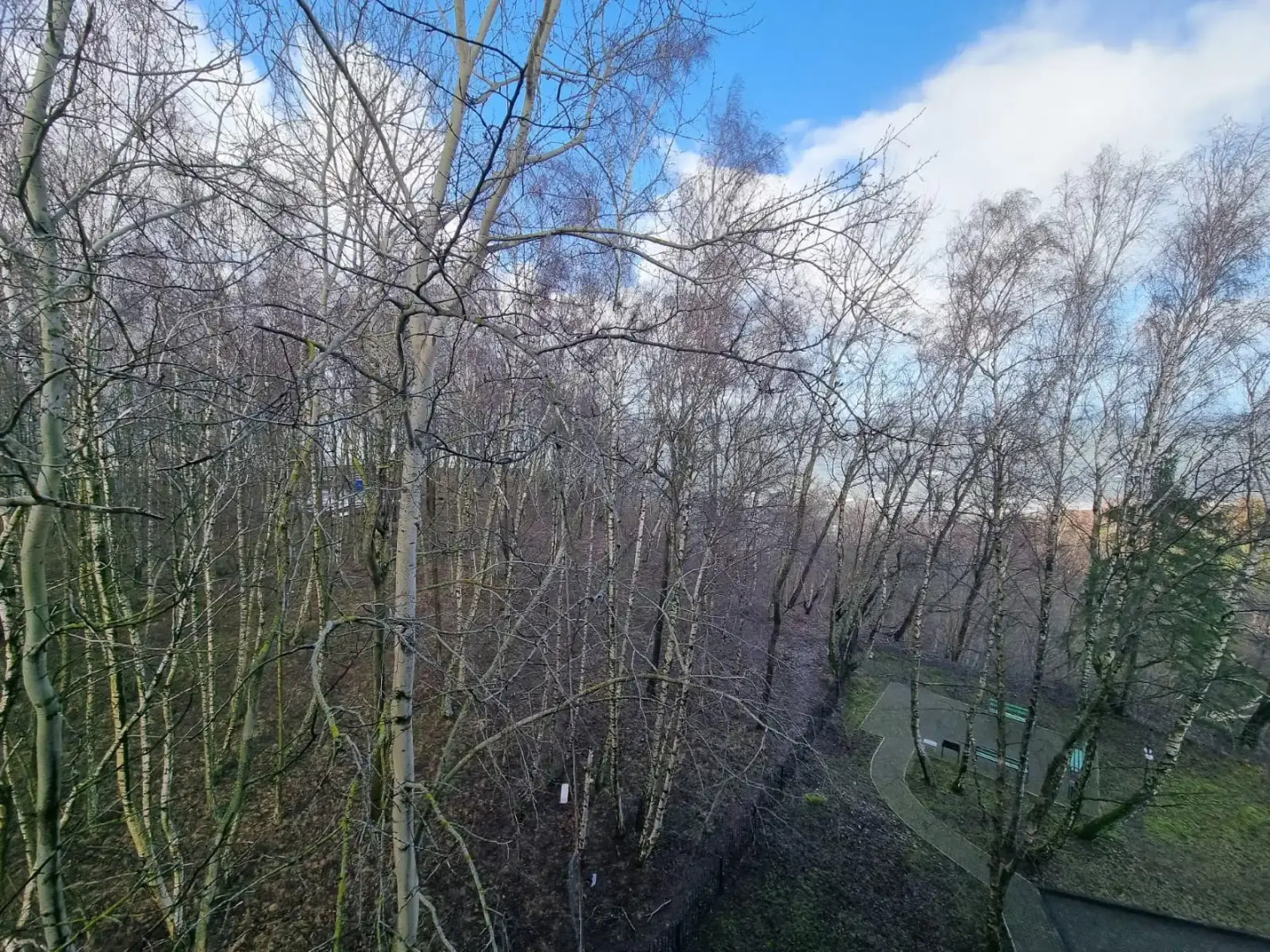 Апартаменты на улице Верещагина 12